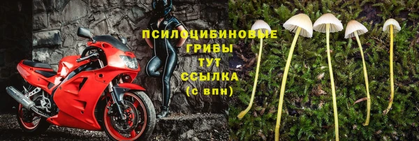 герыч Алексин