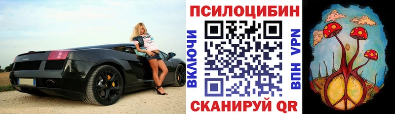 Галлюциногенные грибы прущие грибы  blacksprut рабочий сайт  Палласовка  где найти наркотики 
